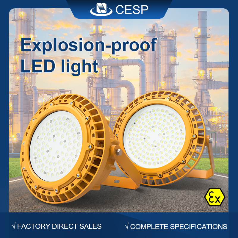 Explosion Proof LED Light CES-EX-D-GBX (up to 400W)